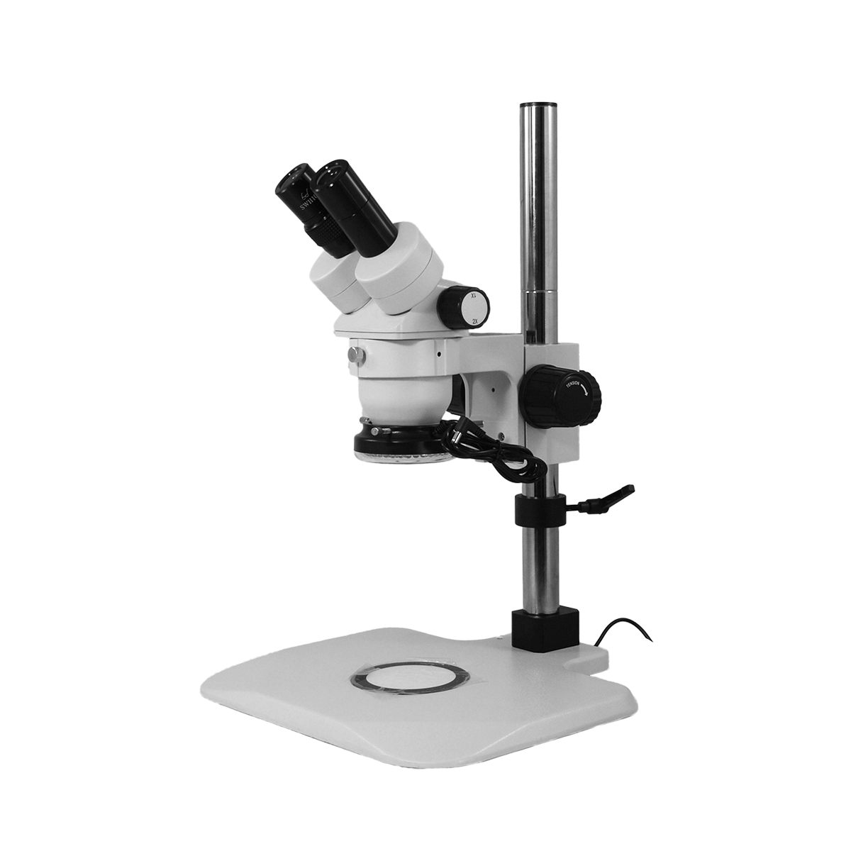 Stereo Microscope